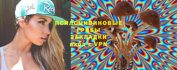 spice Медногорск