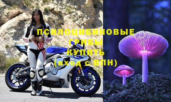 МДПВ Михайловск
