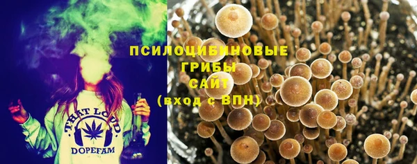 первитин Михайлов
