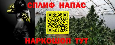 гашишное масло Гатчина