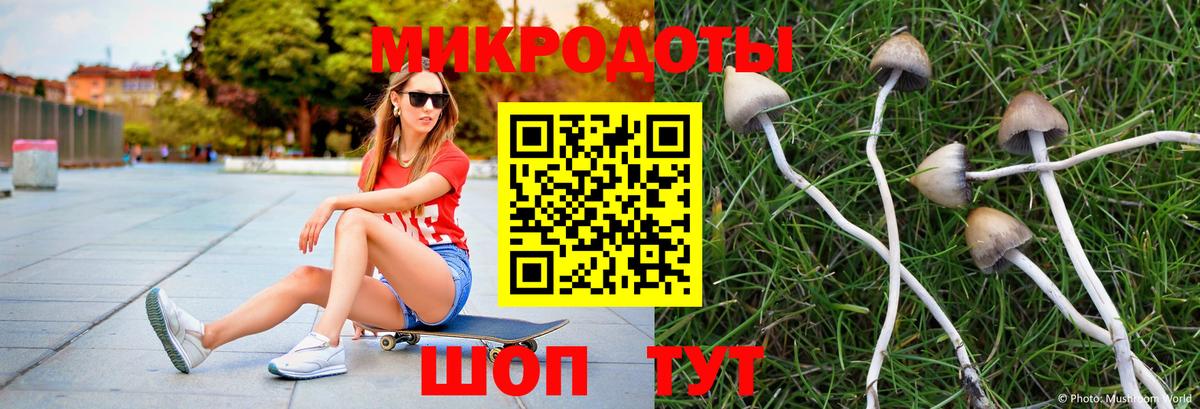 Галлюциногенные грибы Psilocybe  Псилоцибиновые грибы Psilocybine cubensis  Вход с VPN  Екатеринбург 